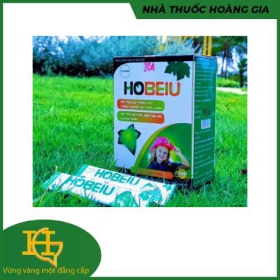 Siro Ho Hobeiu ( hộp 20 gói )